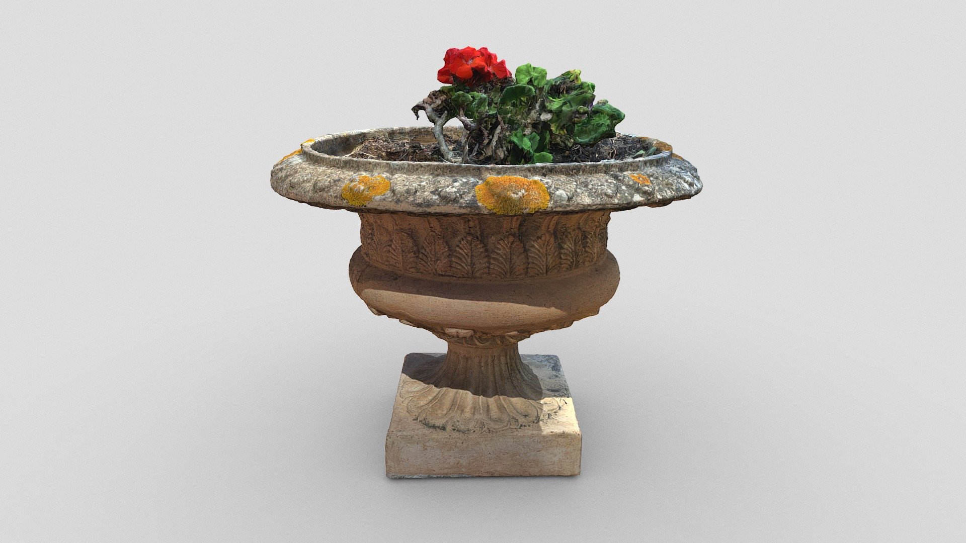 Day 228: Flower pot - 1scanaday