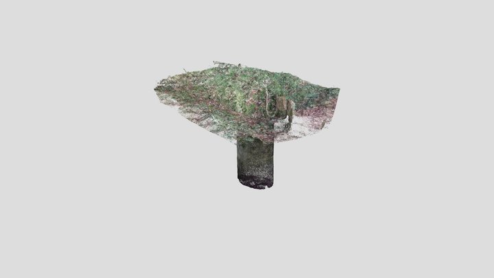 Puits d'un Château médiéval en ruine 3D Model