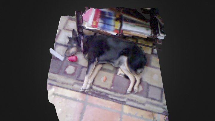dog 3D Model