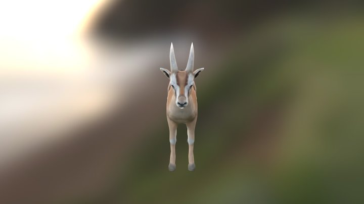 Gazelle Low Poly 3D Model