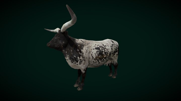 Texas Longhorn Cattle (Lowpoly) 3D Model