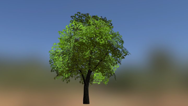 Maple low-poly 3D Model