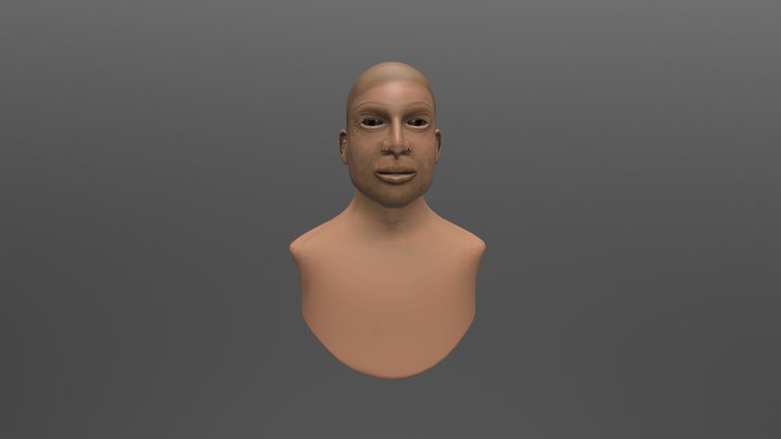 Bust Low 3D Model