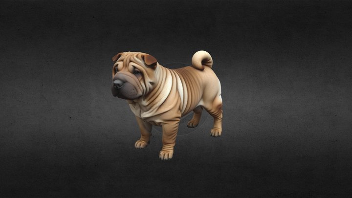 Shar-pei Dog,Available for 3D printing