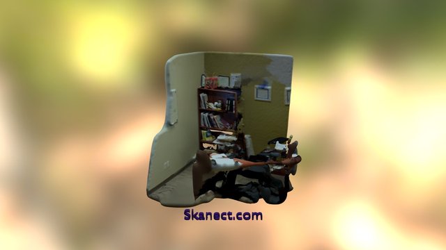 New Skanect Model 3D Model