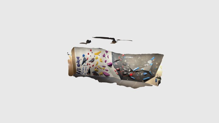 Boulder 3D Model