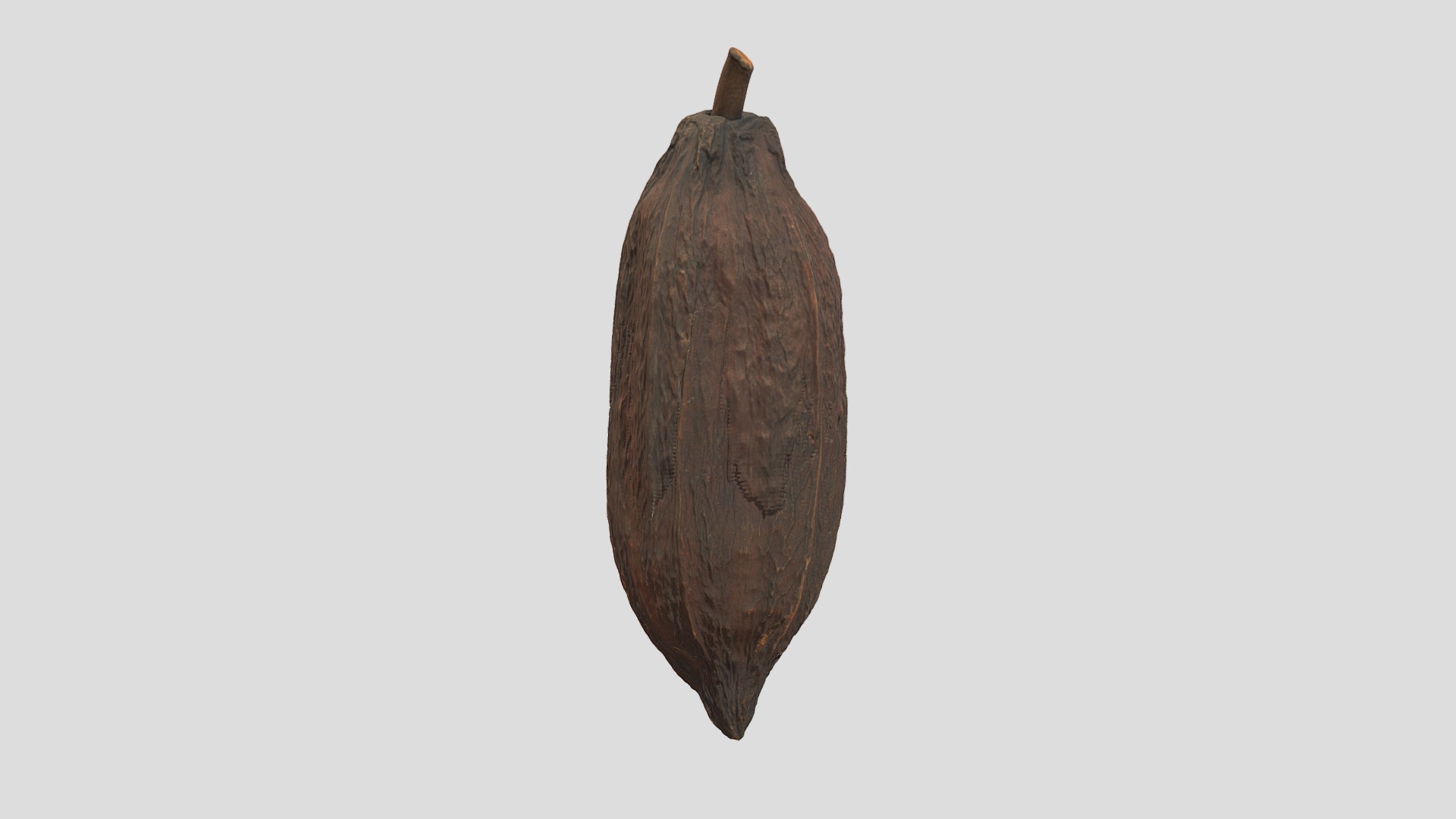 3D model Cacao Pod - This is a 3D model of the Cacao Pod. The 3D model is about a brown vegetable on a white background.
