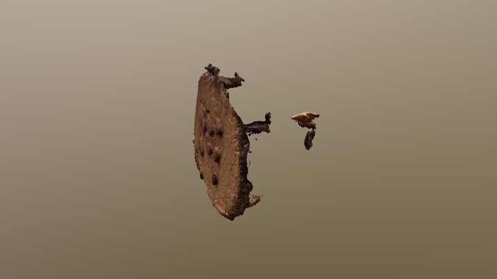 Almonds? 3D Model