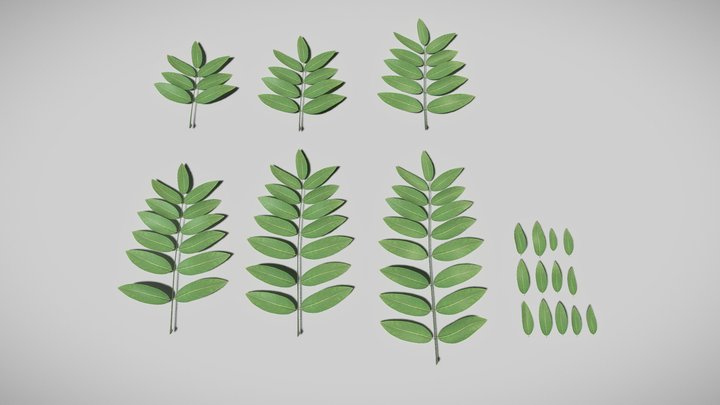 Honey-Tree Leafs (High-Poly) 3D Model