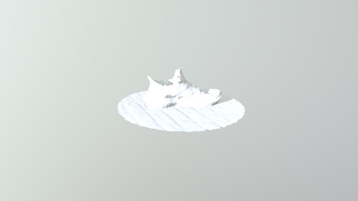 Shoe 3D scan 3D Model