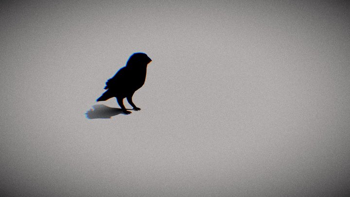 canario_3d 3D Model