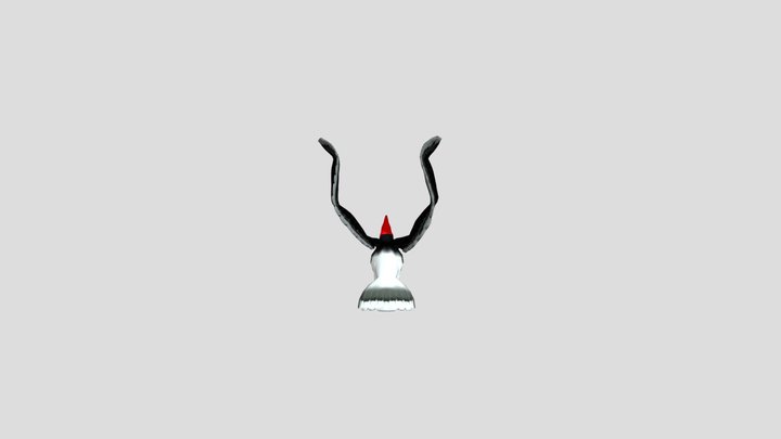 Rhinoceros hornbill 3D Model