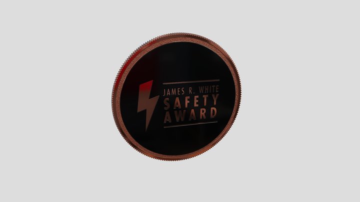 USA Made Polished Copper Coin Neta 3D Model
