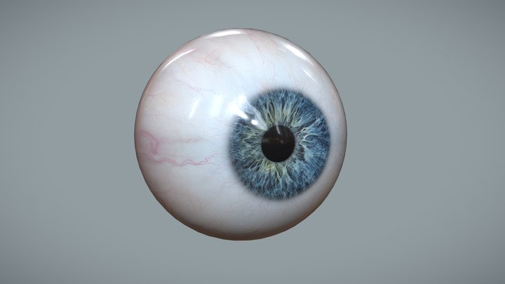Human Eye for Portrait Artist 3D Model