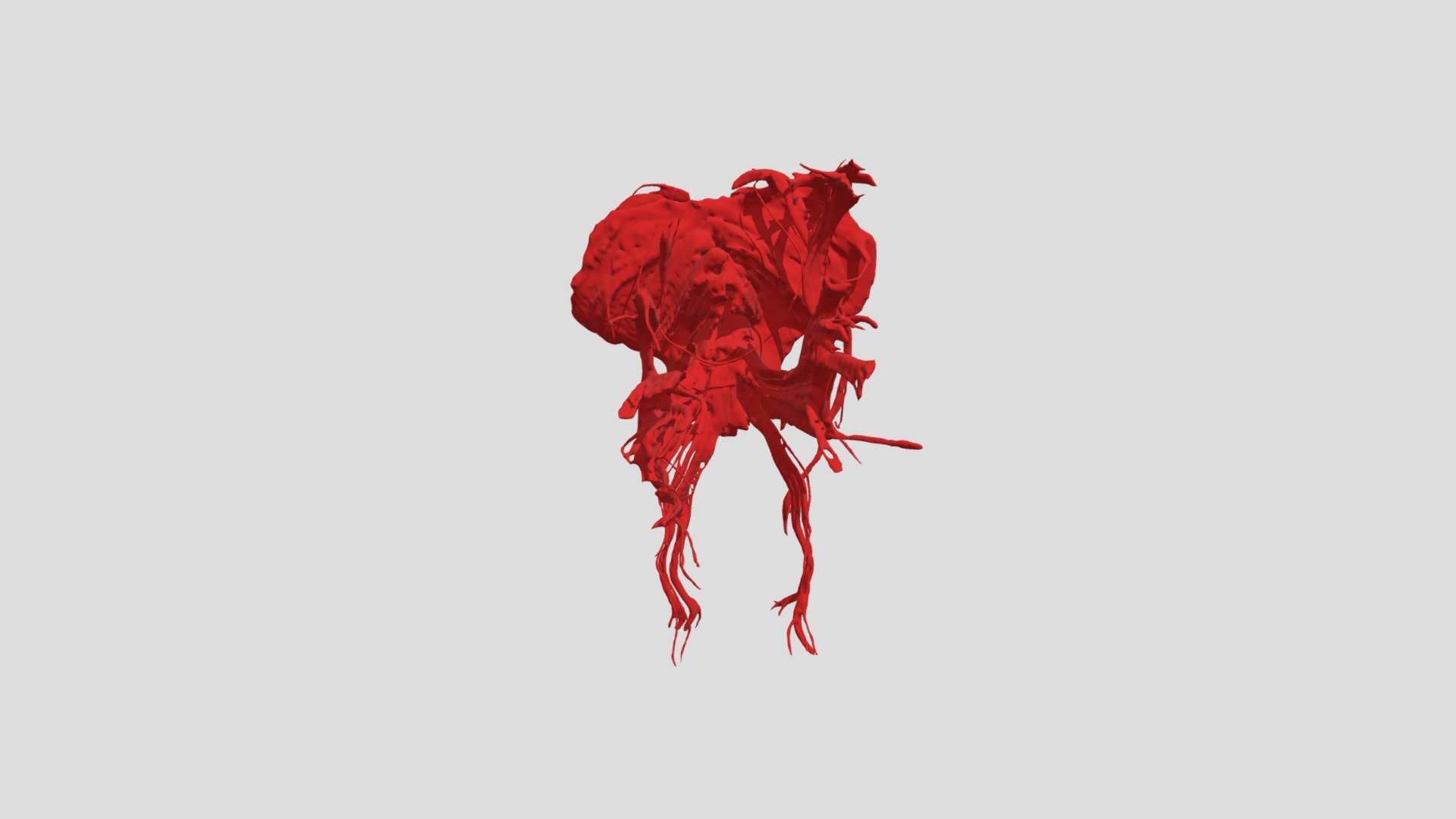 Brain Fibers