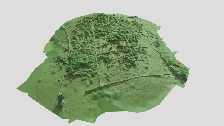 Cygnea 3D models - Sketchfab