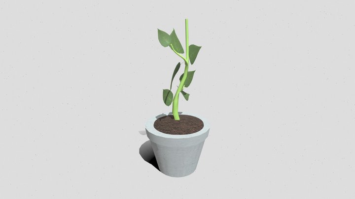 wk8_plant_davis_emma 3D Model