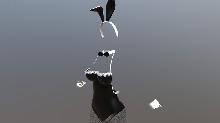 Sexy Bunny Costume 3D Model
