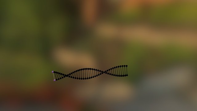 dna com o primeiro colorido com o metodo do anel 3D Model