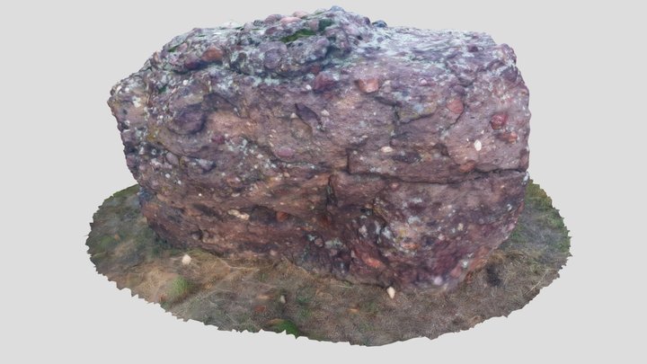 Jakabhegyi konglomerátum (Tatai Geológus Kert) 3D Model