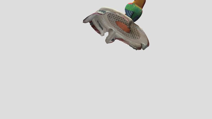 model 3D Model