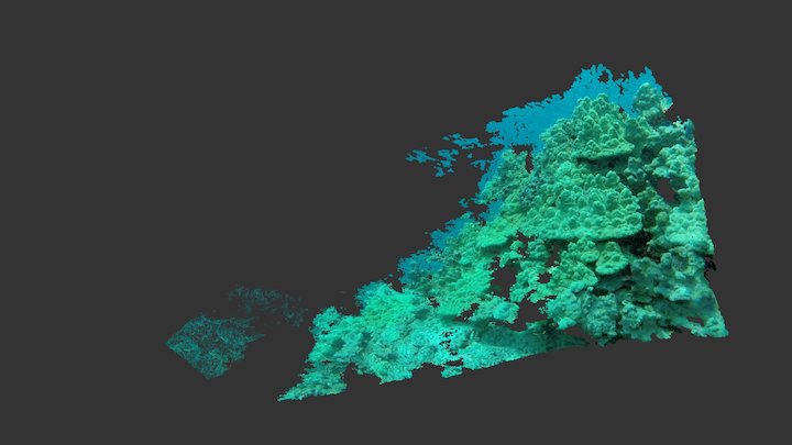Puako Corals, Big Island, Hawaii 3D Model