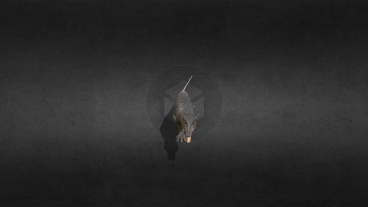 poposaurus 3D Model