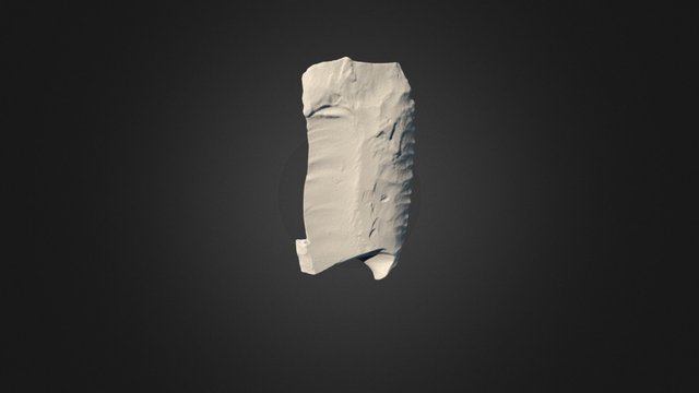 Folsom Point 3D Model