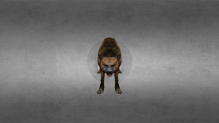Dog 3D Model