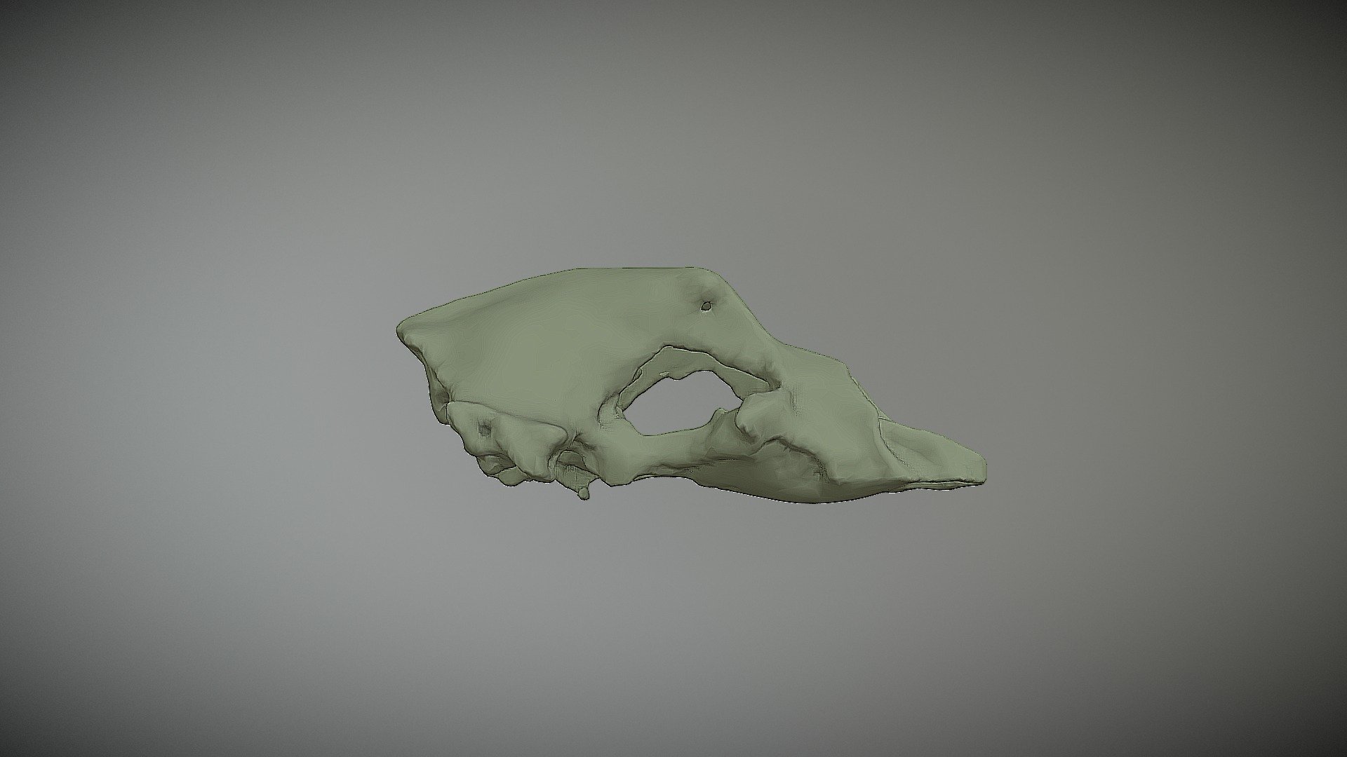 Ursus1 — Sketchfab embed 3D viewer