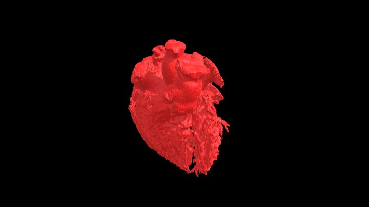 Blood_volume 3D models - Sketchfab