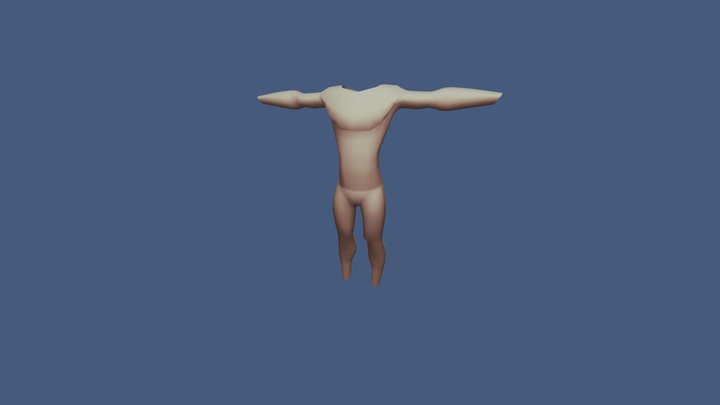 Cuerpo Humano 3D Model