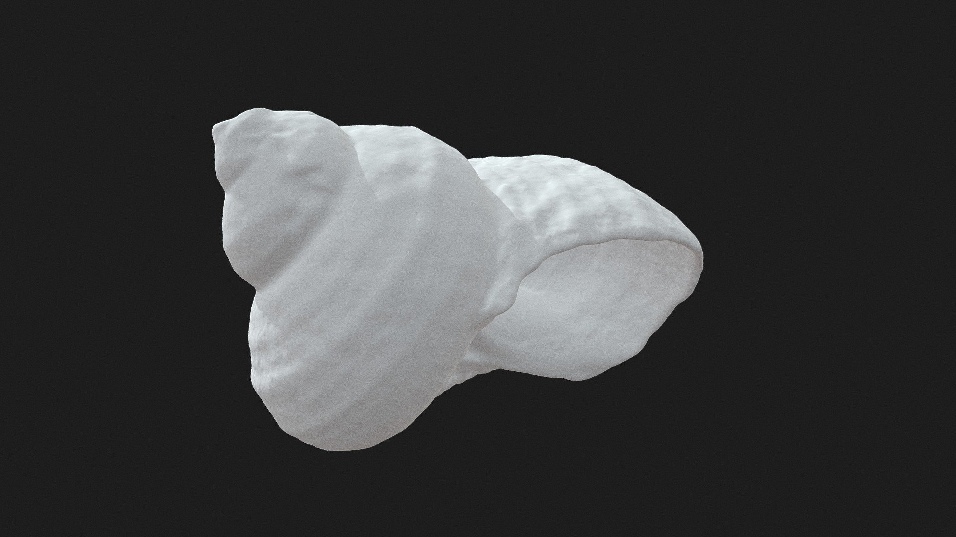 Shell - Revopoint POP2 Scan