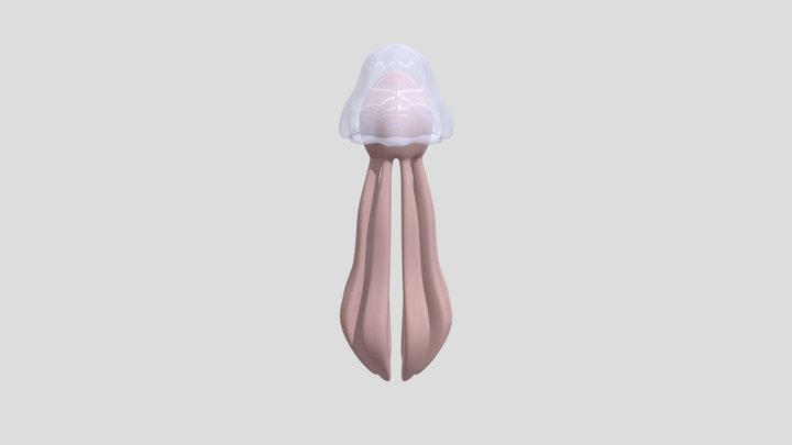 jelly 3D Model