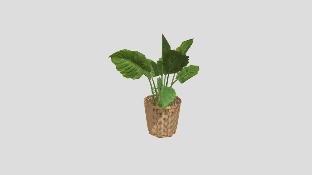 Jungle Gem