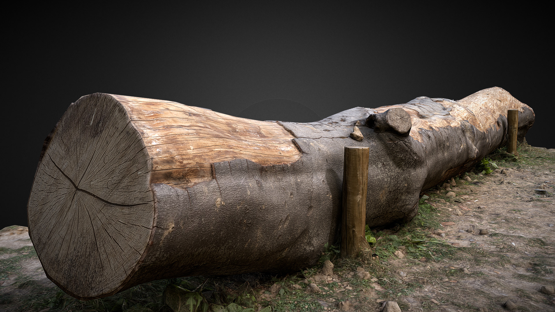 3D model Tree trunk bench - This is a 3D model of the Tree trunk bench. The 3D model is about a group of logs.