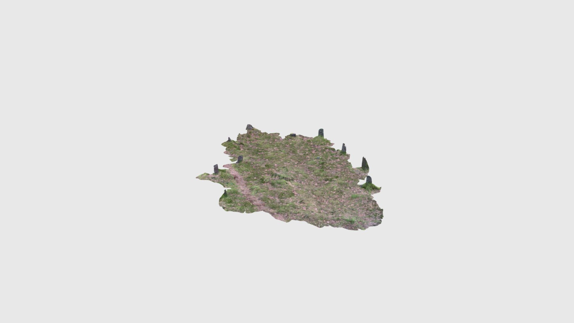 ForestfloorPatch03