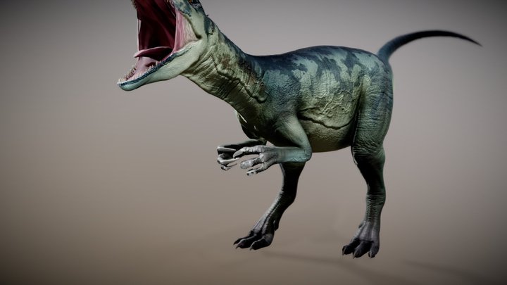 Allosaurus Animation 3D Model