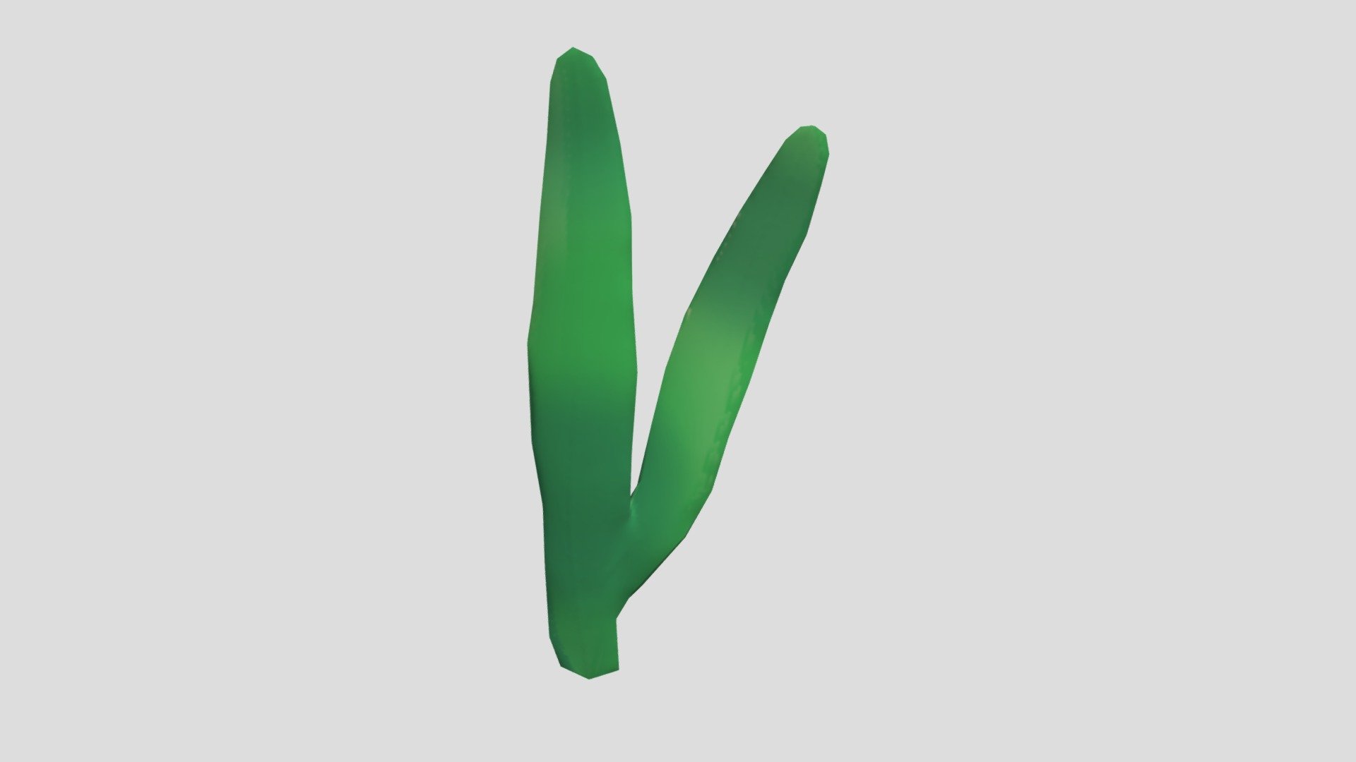 Seaweed 2