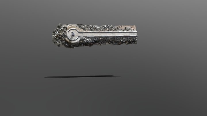 dick3 3D Model