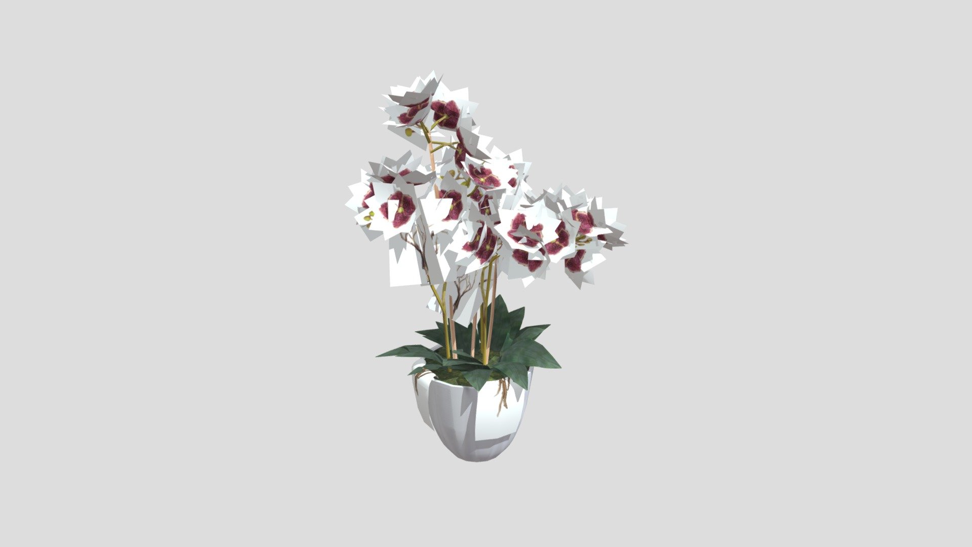 KEJORA-03 Double Stalk