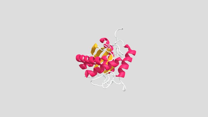 2W15 3D Model