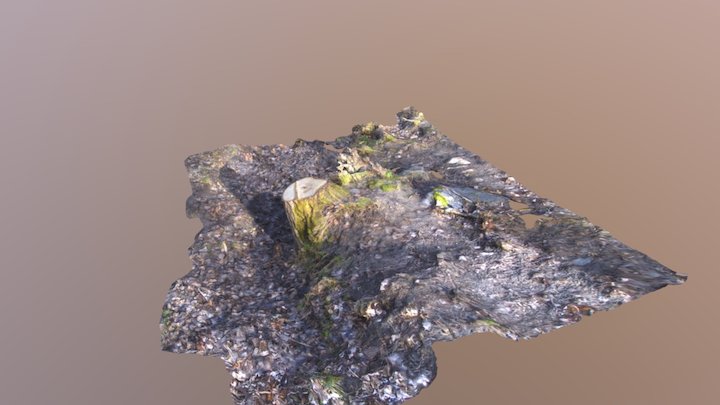 P Scan Kanto 3D Model
