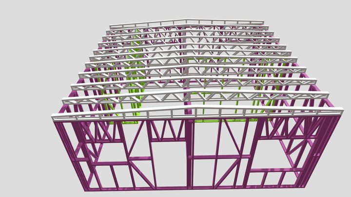Tay Street 3D framing 3D Model