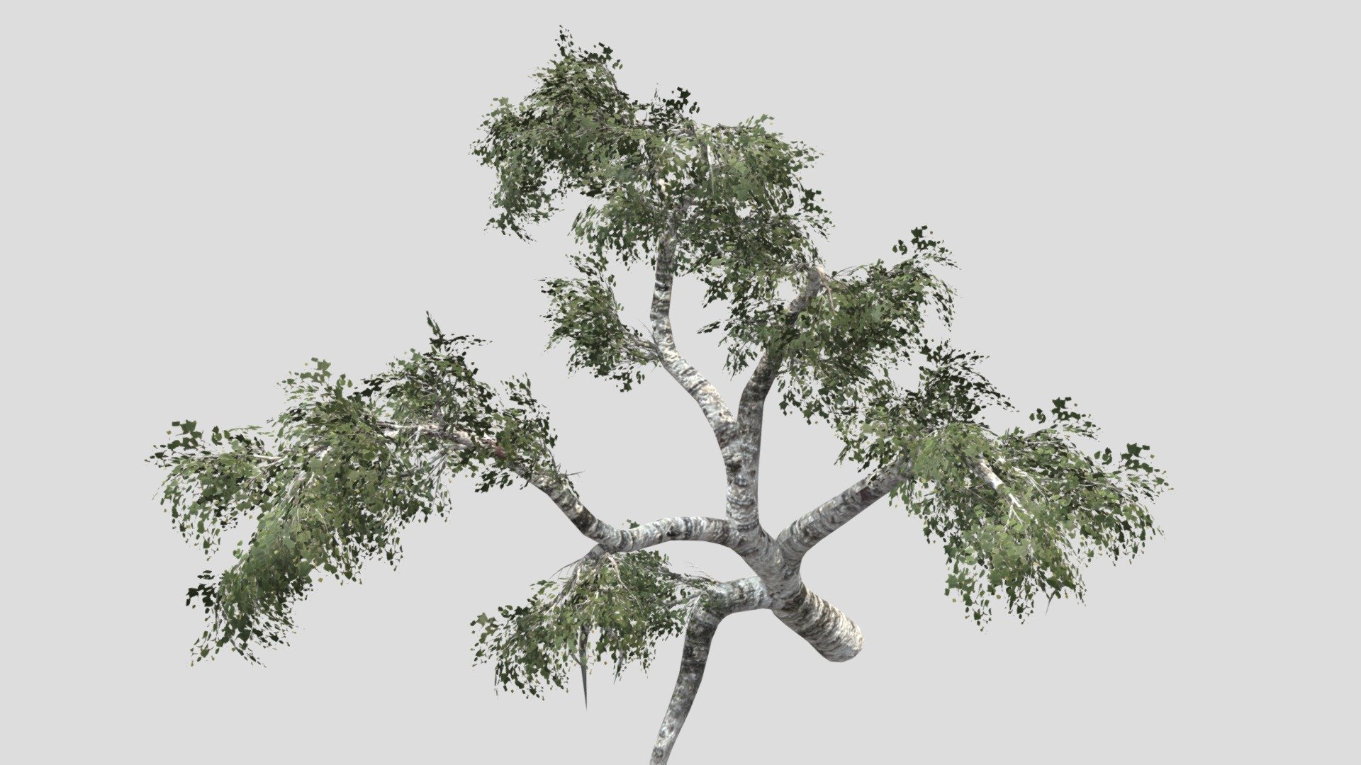 Tree (part11) - Download Free 3D model by YN14R [9396a05] - Sketchfab