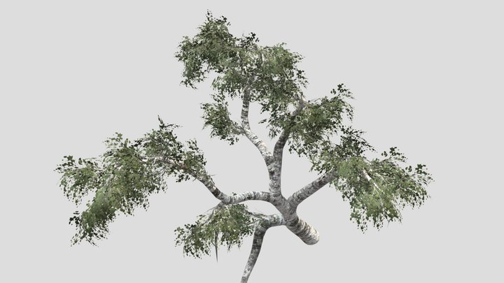 Tree (part11) – Modello 3D gratuito STL