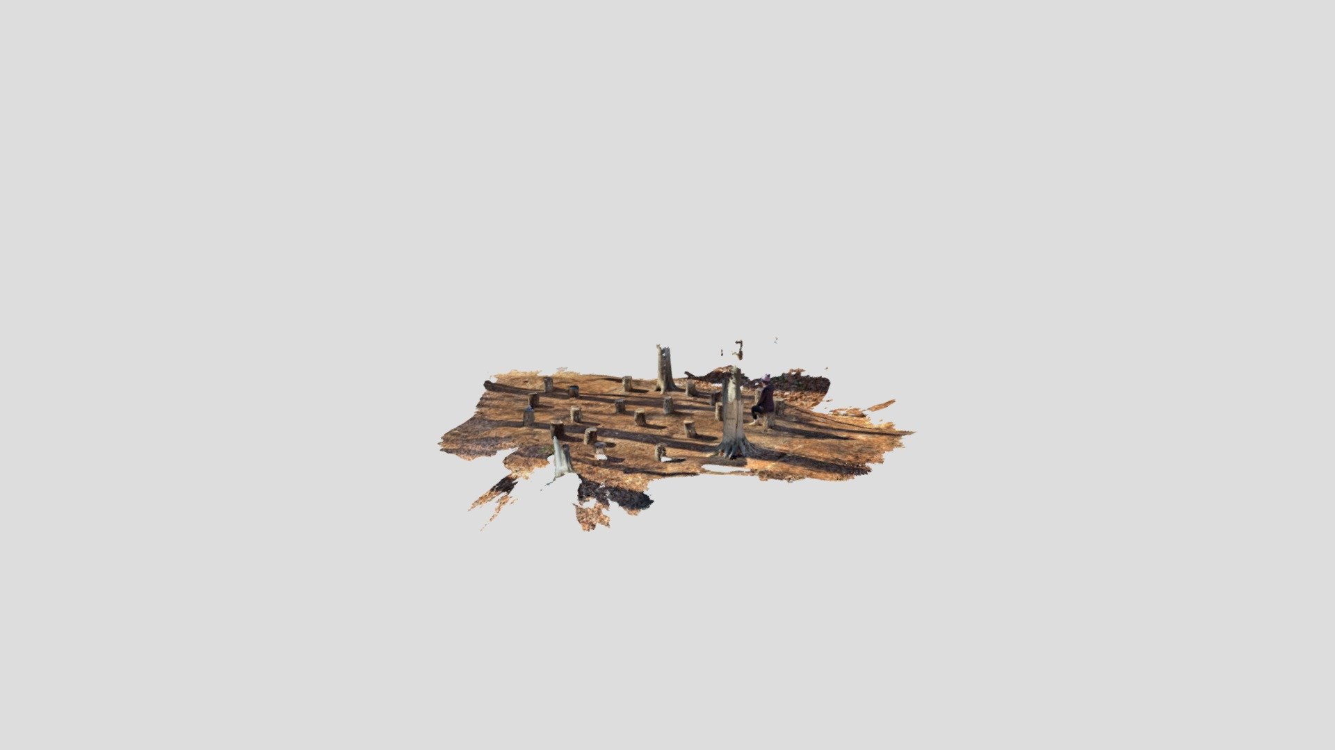 Untitled Scan