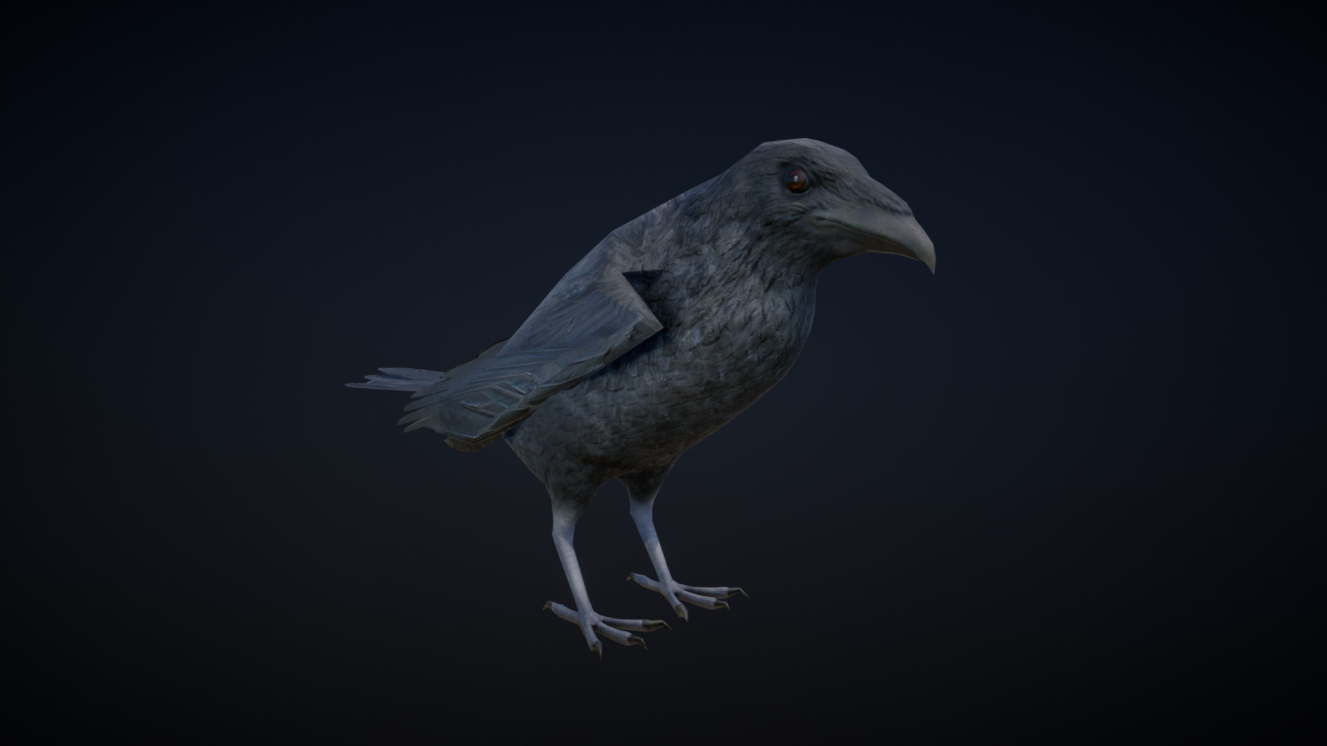 3D model CROW ANIMATIONS - This is a 3D model of the CROW ANIMATIONS. The 3D model is about a bird with a long beak.