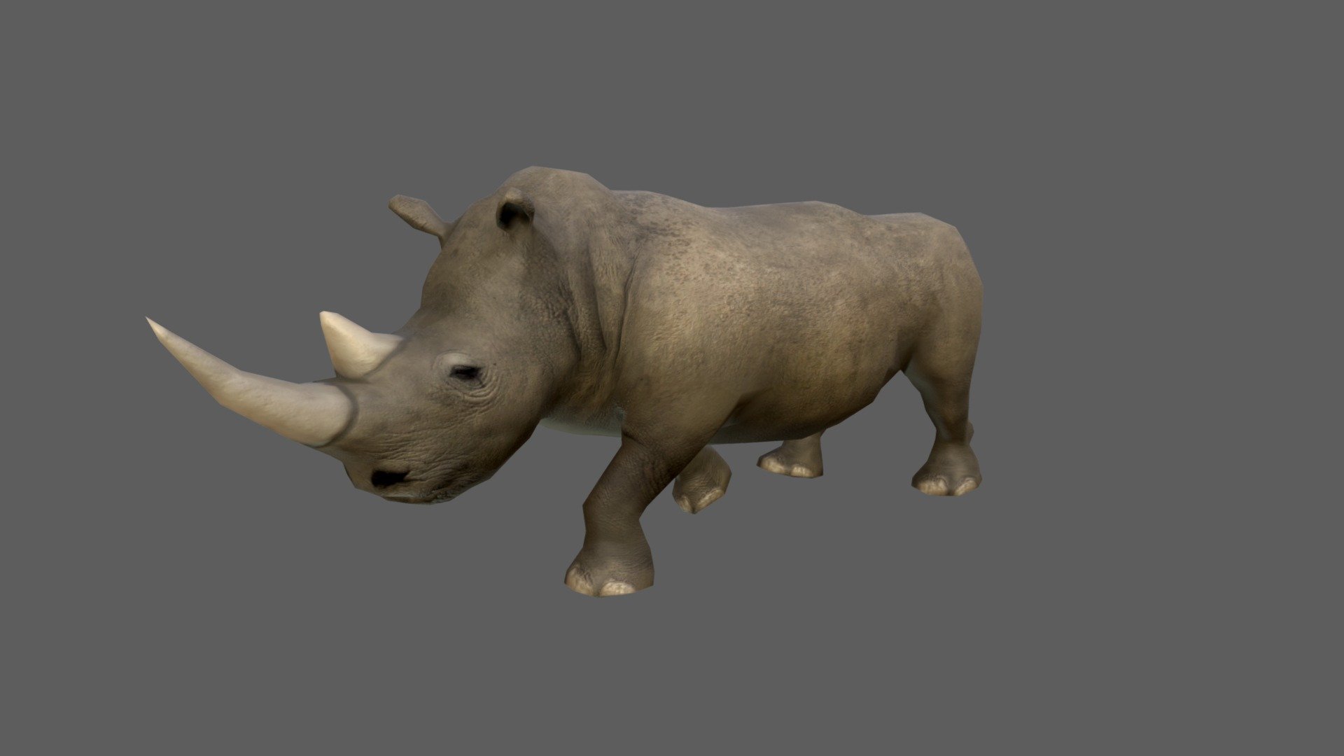 rhinocerous 3d 6 free