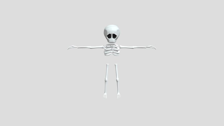 esqueleto 3D Model